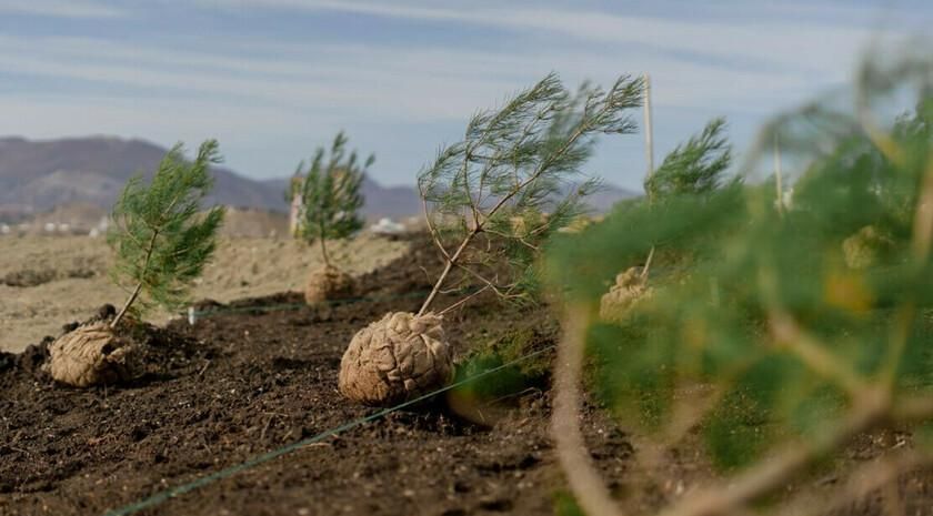 ������� ��� ���������� ������� � ���, �����������, ���������� ������� � ������-��-����