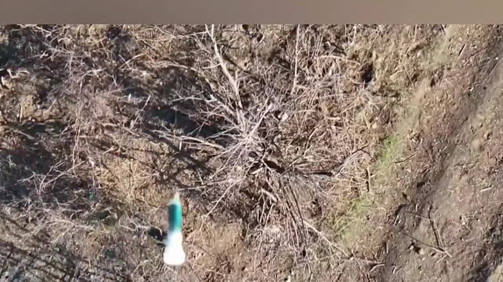 ������ ������ ���������� ���������� ������ �� ����������� ����� ���� ����������