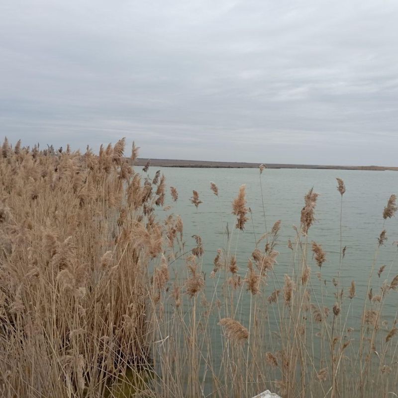 ������������ � ���������� ���������� ������� �������� �������� �������������� ���������������� ����������