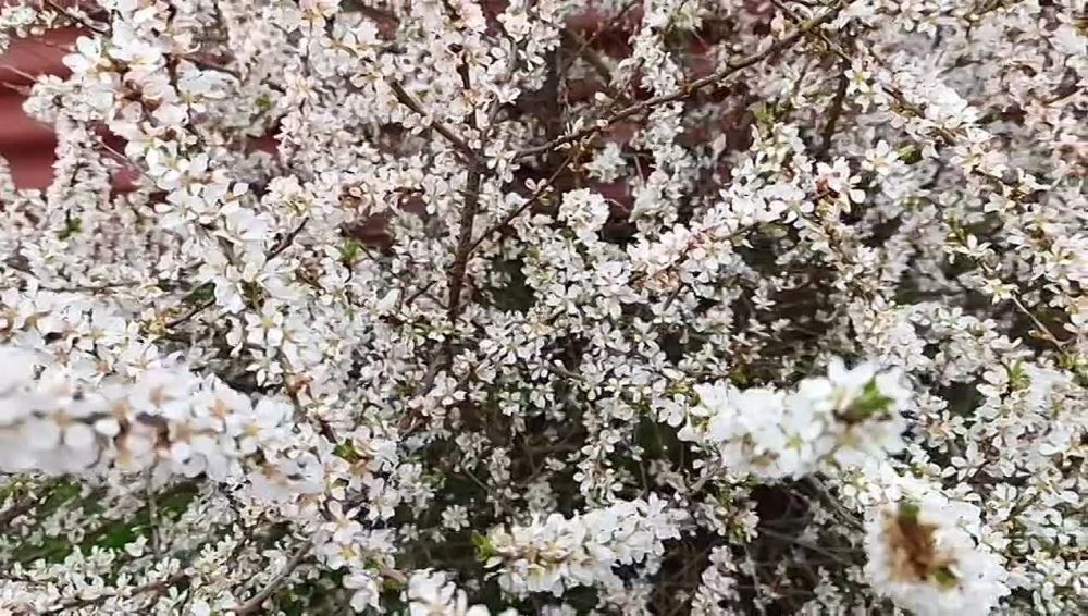 ������ ����!. ������ ������ ����! ����� ����������� ���� ������� ������� ������� �����! ����� ���!