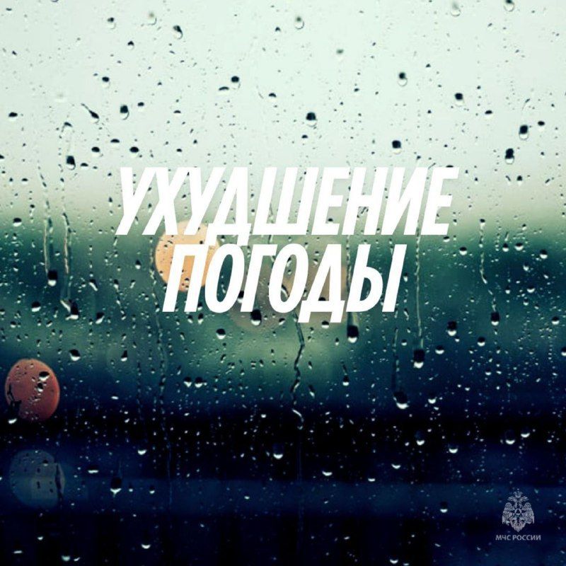 �� ������ �������-����������� ���ѻ �� ���������� ���������� ������� 29 ����� ��������� ��������� �������� �������, � ����� � ������� ������, ������ � �������� ����� 15-17 �/c