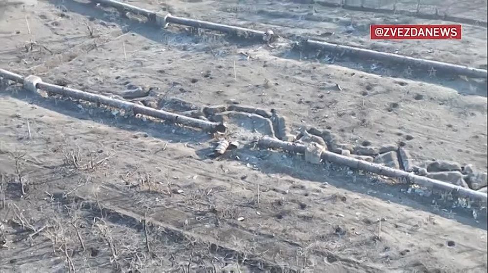 �� ���� ������ � "�����������" ��� � ����� ������ ������ ��� ������ � ������ �������� ���������� � ������ ����������� ������ "��������� ����� � �������"