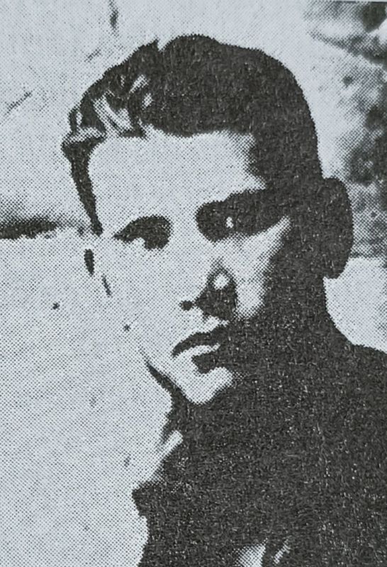 ���� ������ ���������� ������