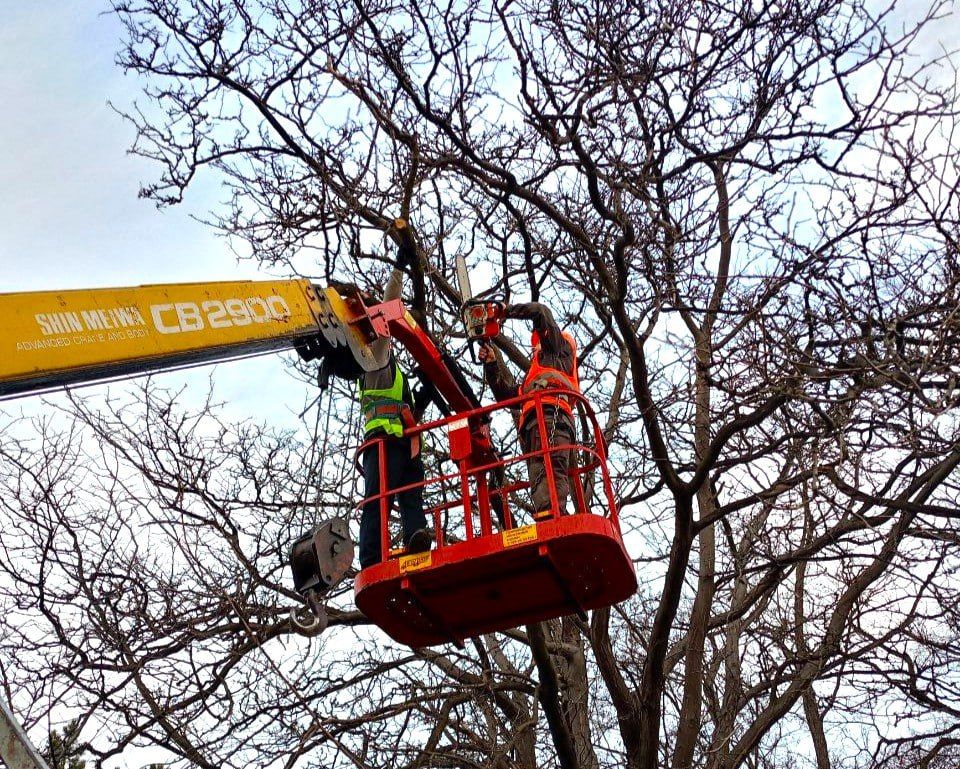 ����� ������ �� ��������������� ������� ������� � ���������