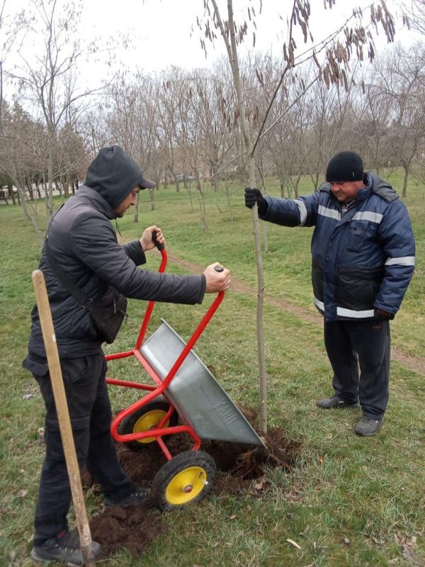 ��������-��������� ������� ��������� ������� �������������� �������� ��� �������� ��������� ������������ � ��� ��������