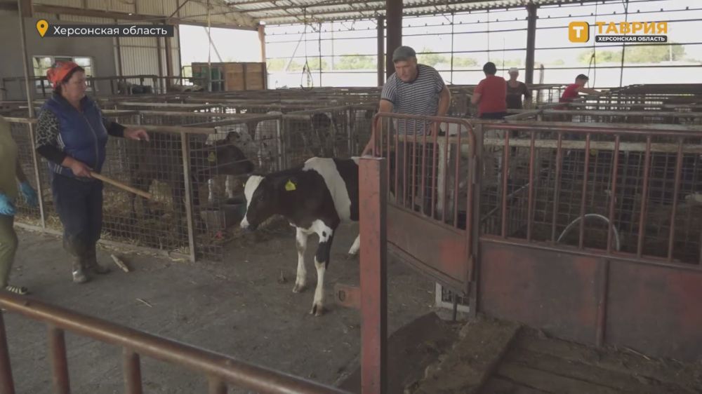 � ���������� ������� ������ ��������� �� ������� ���������� �������� �������� ����� � ���������� ���������