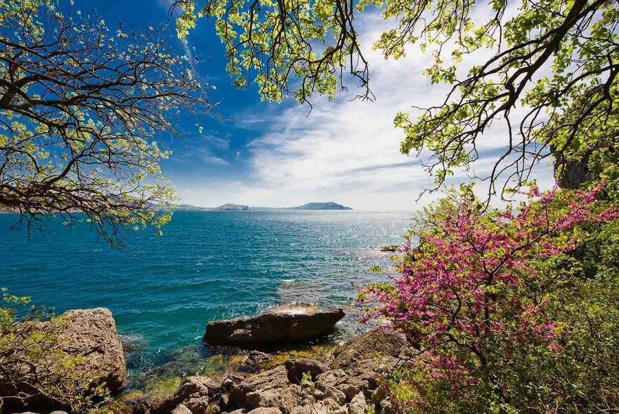 . ���������������� ����� , ������� ���� � ������