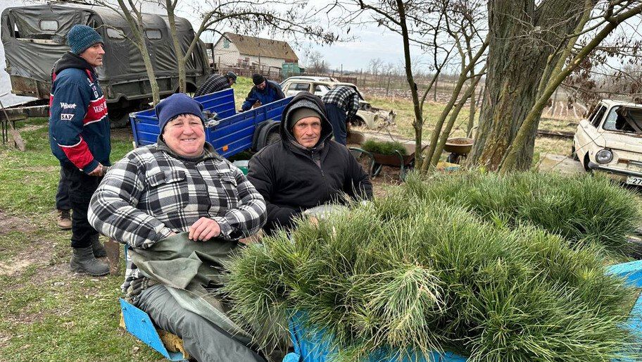 � ��������������� ������� ������������ ������� �������� �����