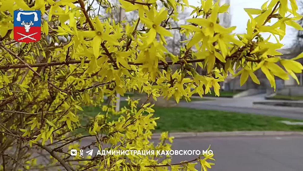 ������ ����, ������ ���������� �������������� ������!