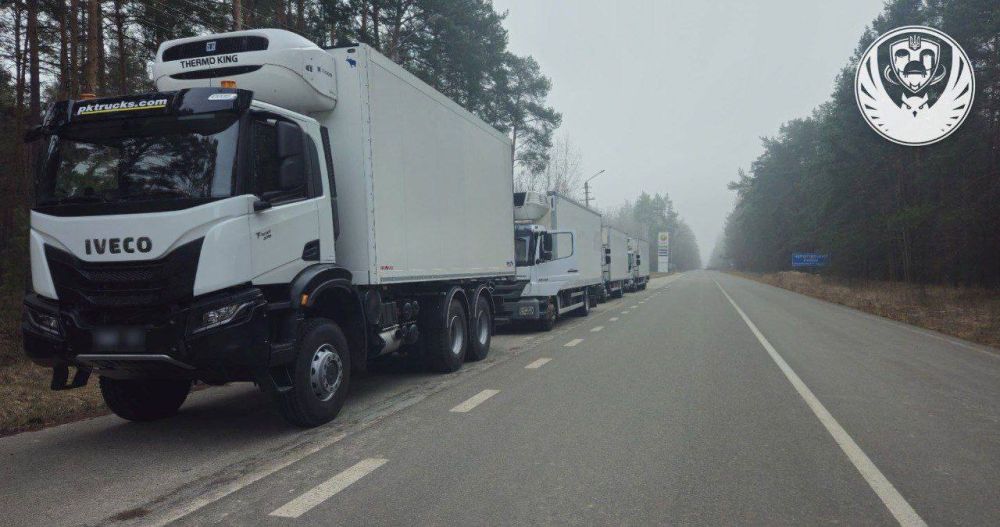 ������ � ������� ���������� ������ ��������������