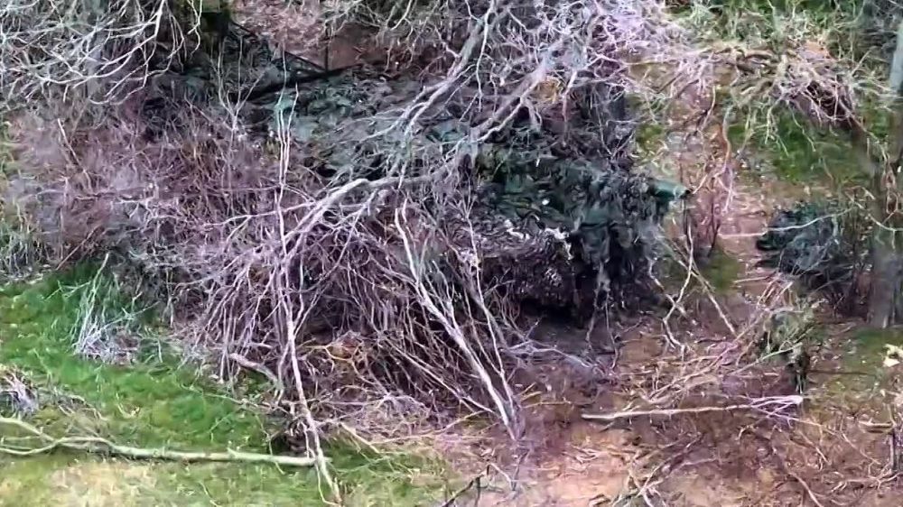 ���������. �� ����������� ����������� ���� �������������� ������� ������������� ��������� ���� ���, ������� ������� �������� � ��������� ������ �������