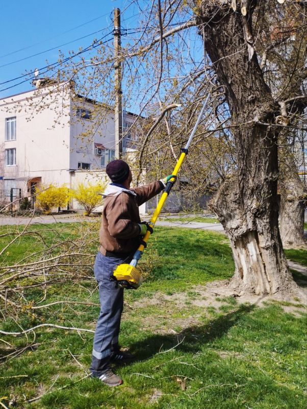 �� ���� ������ ������� ��������� �������������� ��������� �������� ������, �������� �� ��������� ������� � ���������� ��������