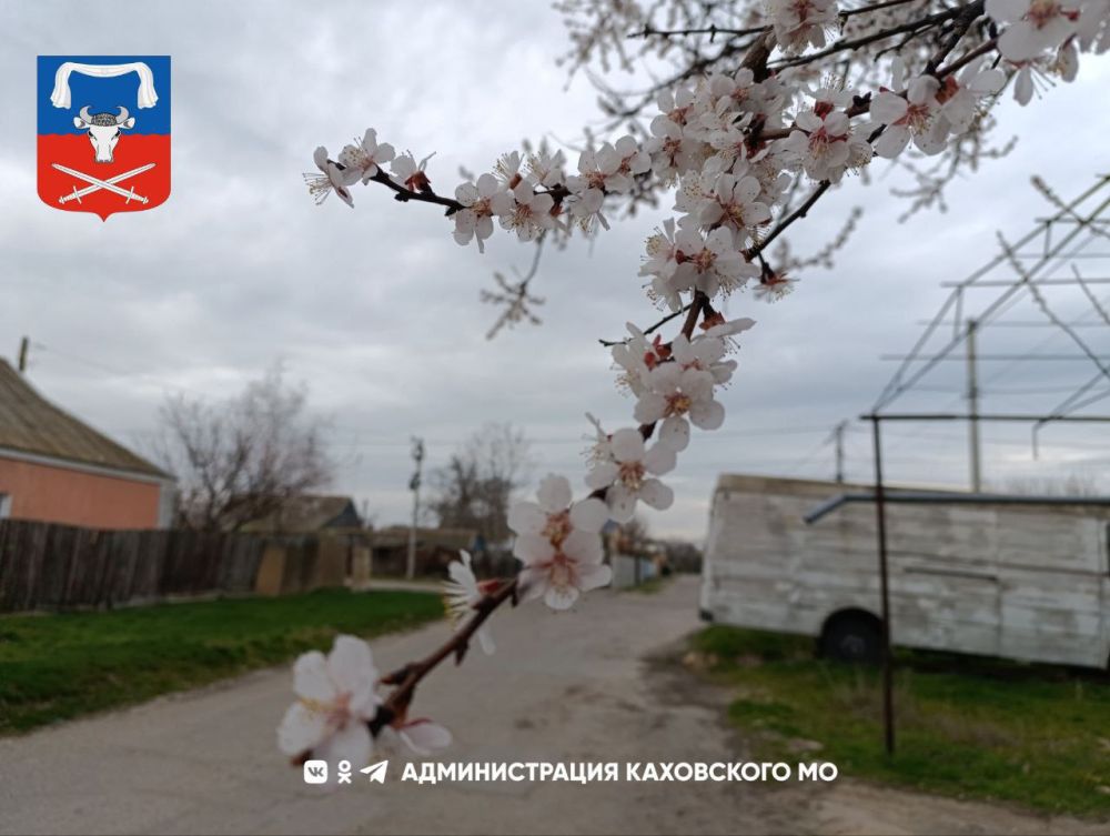 ������ ����, ������ ���������� �������������� ������!