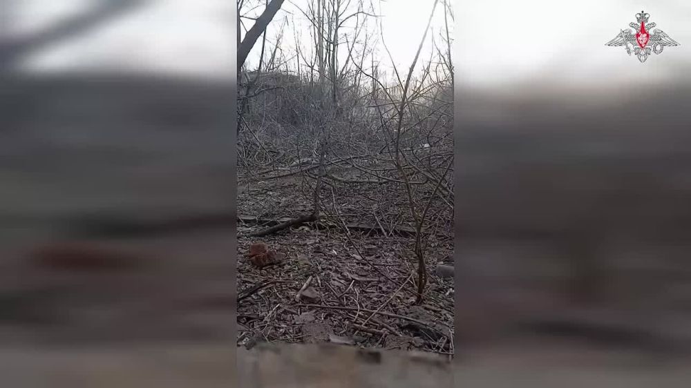 �������� ��������� ��������������� ���������� ����������� ������ ���������� ������� ������, �������������� ������� � ��������� ����� ���� ��� �� ��������������� �����������