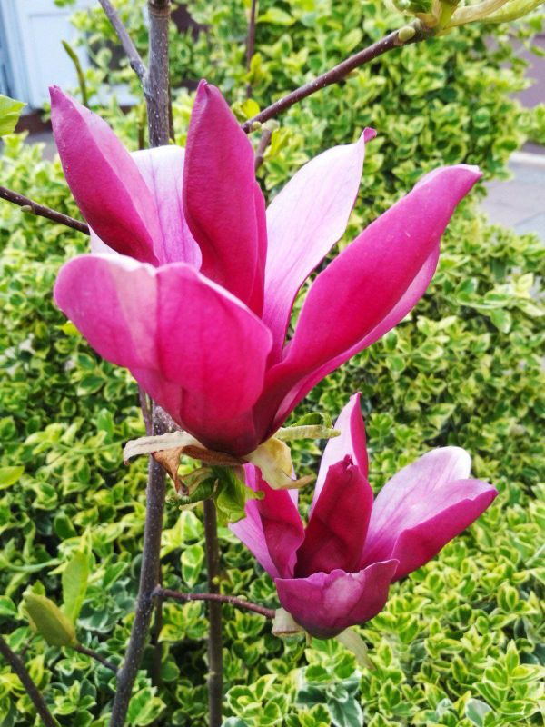 � ������ ��������� �����, ������! � ������� ���������� ����!