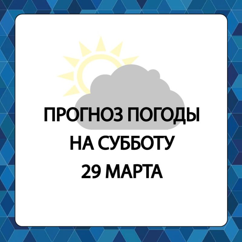 ������� ������ � ����������� ������������� ������ �� �������, 29 �����