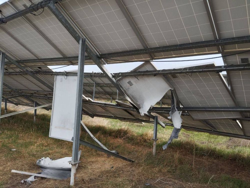 �������� ����� �� ����� ��������� ������������� �� ����������� ���� �� �������� ���������������� � ����������