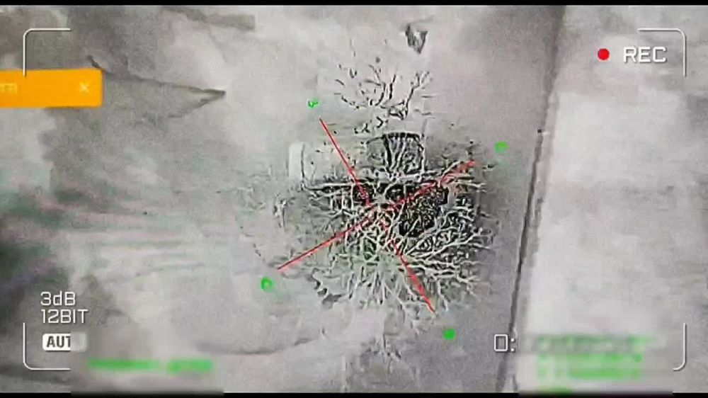 ���� �� �������: ������. ������� ����. ����������� ������� ����������� ����� ������, �� ������� 18-� �����, ���������� ������� ������������ ����� �� ��������� ������� �� ������ ������