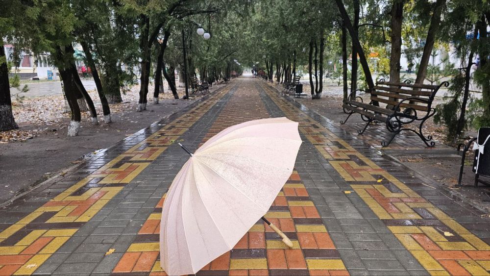 ���������� ������� 29 ����� ������� �����