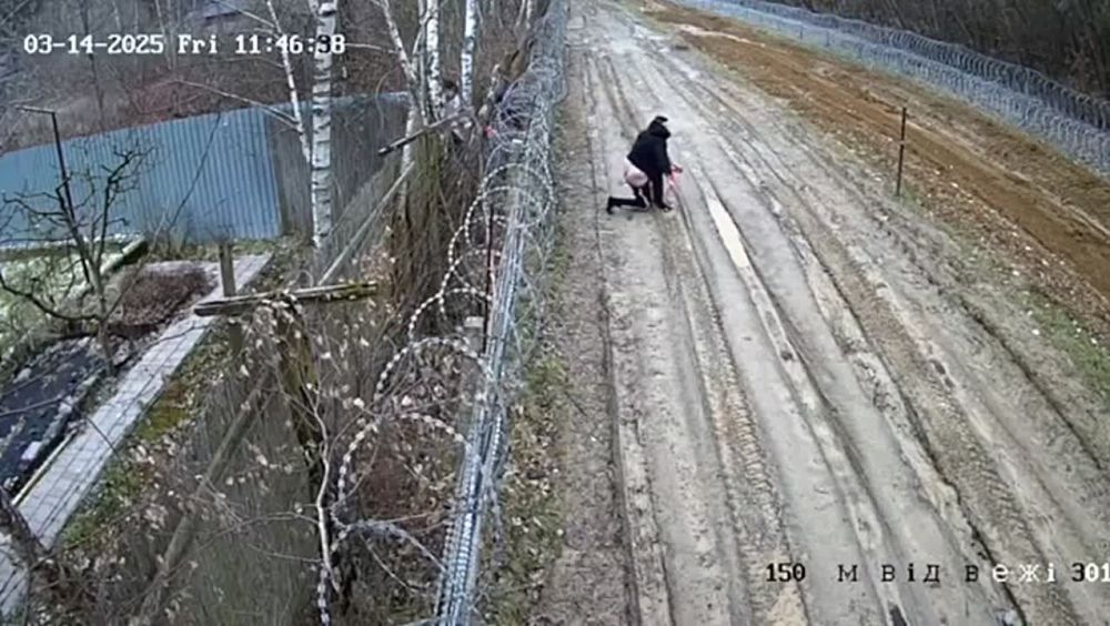 ������������ �������. ����� � ����� ���������� ���� ���������