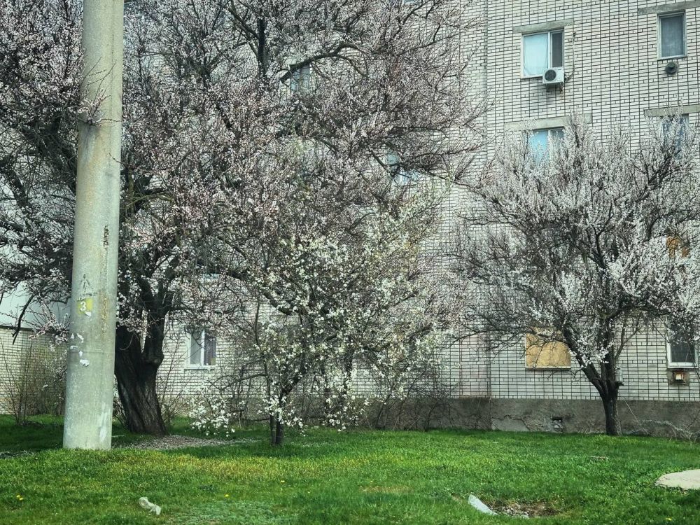 ������� ����: �� ����� ��� ����������� �����! ������� �������� ������������, �������� ������ ��������� � �������� �������� �����