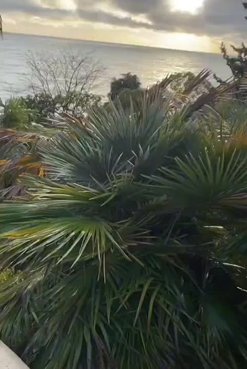 ������� �������: ������, ���� ��������� ����