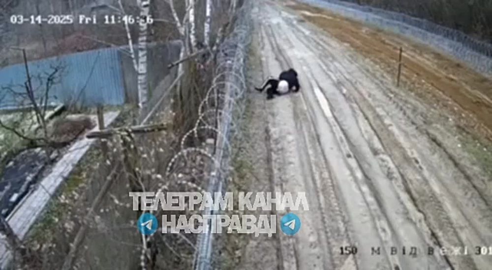 ���������-���������� �������