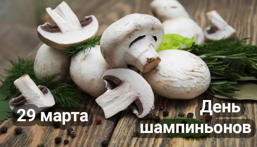 29 ����� � ���������� 14 ����������