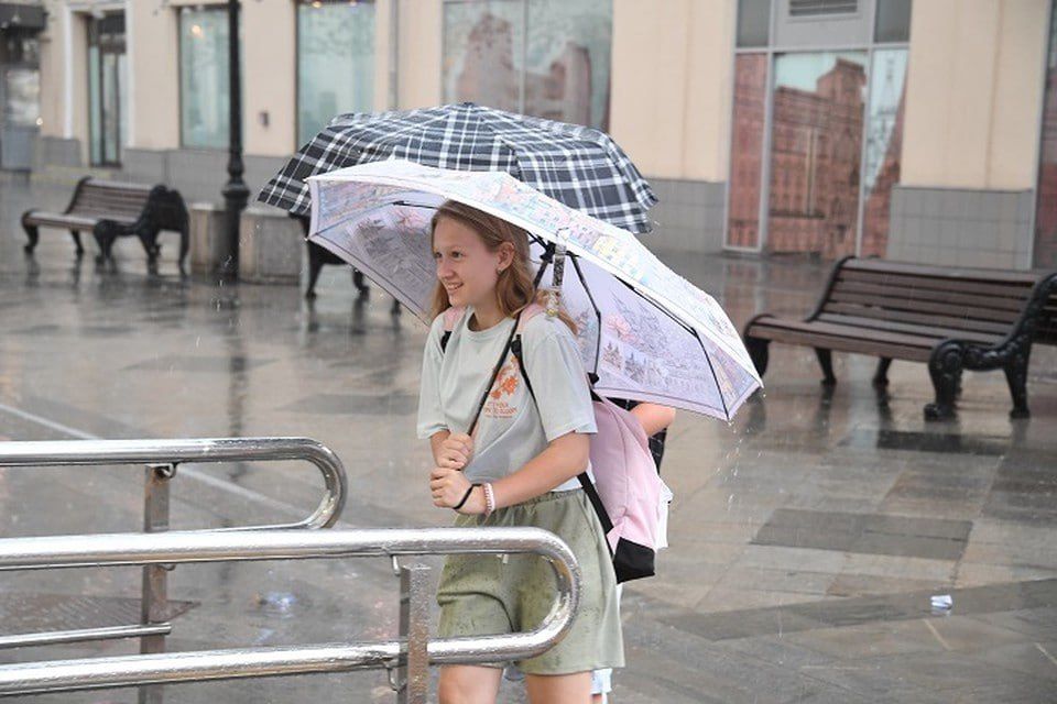 ���������� ������� 29 ����� ������� �����