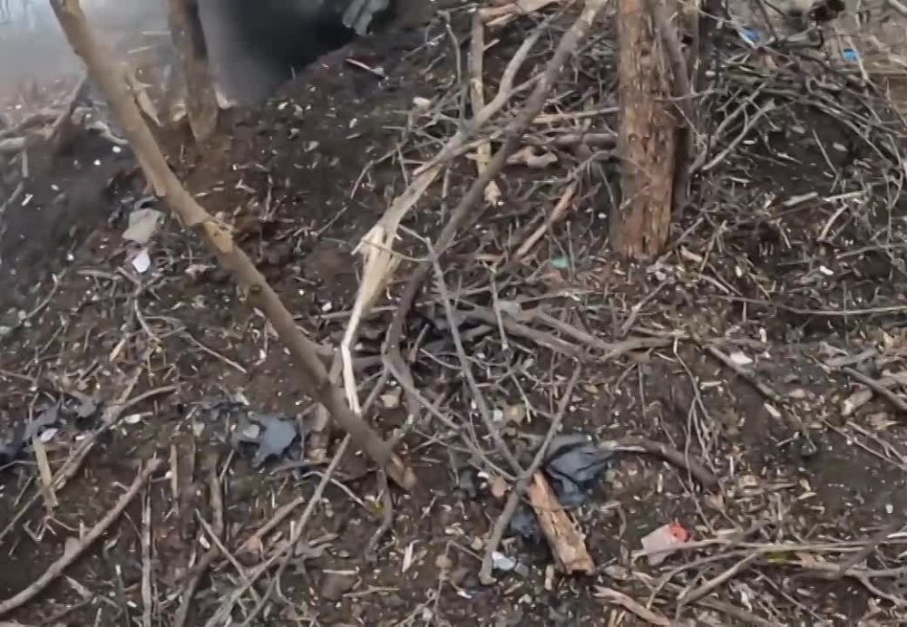 ����� ������ ������� ������ ������