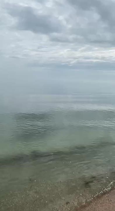 ������ ���� ����!. ������������� ��������! ����������� ��������� ����������! sd_kakhovka.khogov.ru