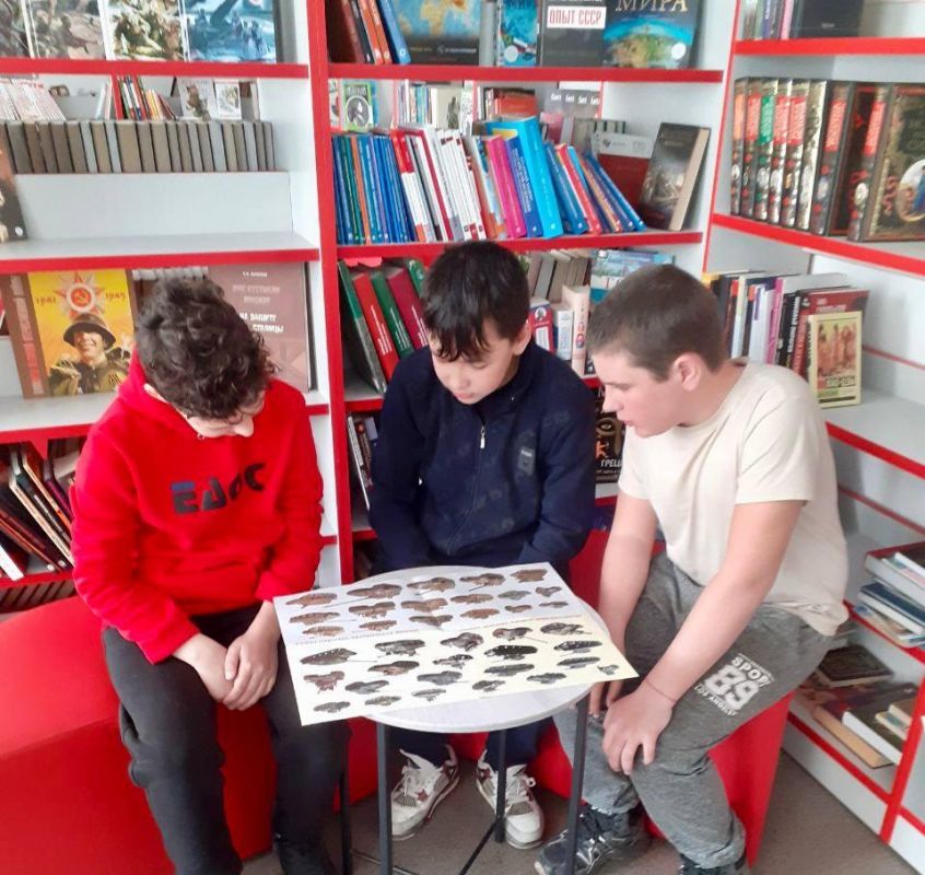 � ������������ ������ ������ ������ ������� �����