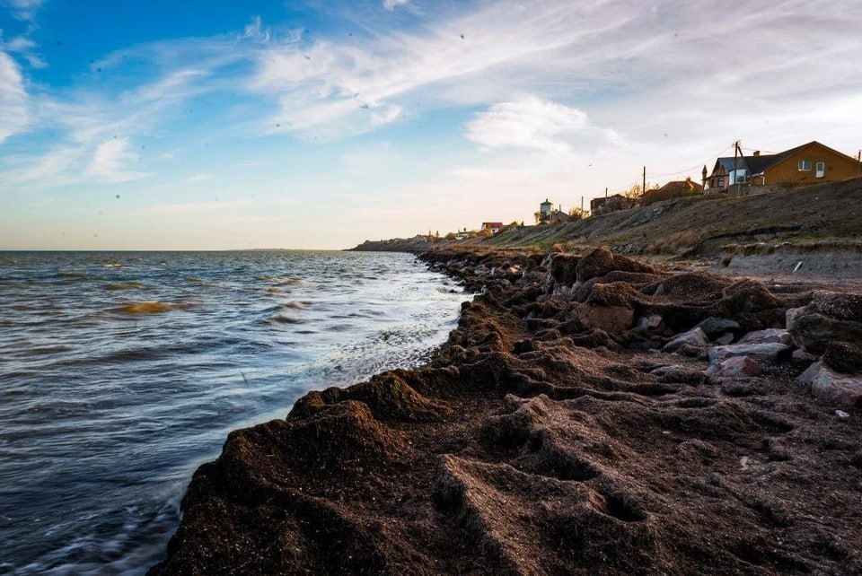 �� ��� ���� ������� - ����: ������ ������ ������ ����� � ���� ����������� ���������� �������