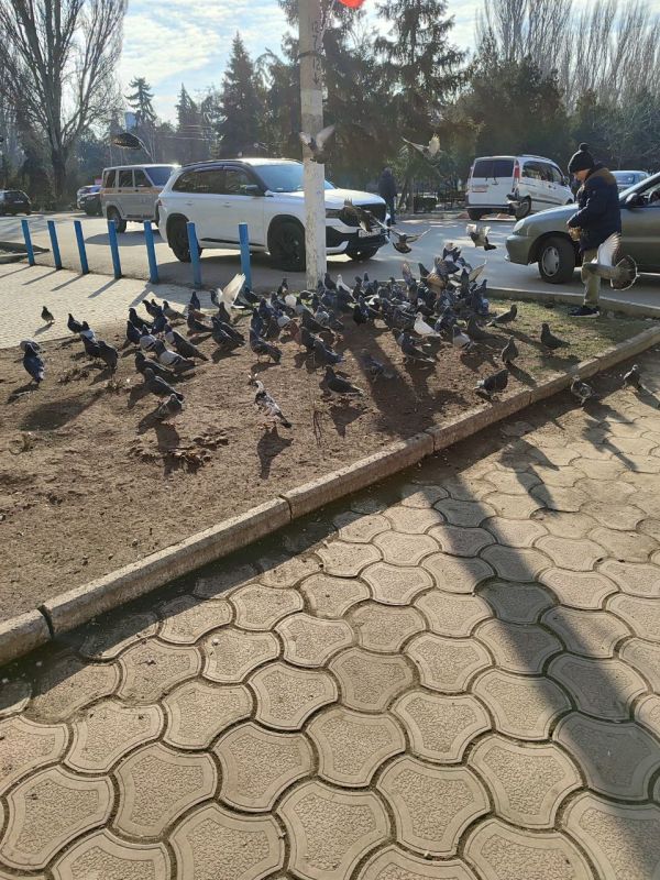 � ������ ������������ �������� �����, ��������� ������, ��������� � ���������