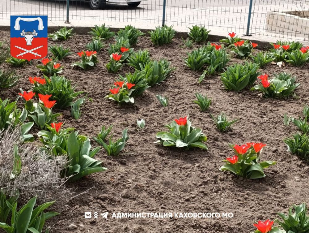 ������ ����, ������ ���������� �������������� ������!