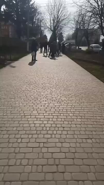 "��� �� �������, �����!": ������� �������� ���������, �������� ����� � ������������ ������ � ������