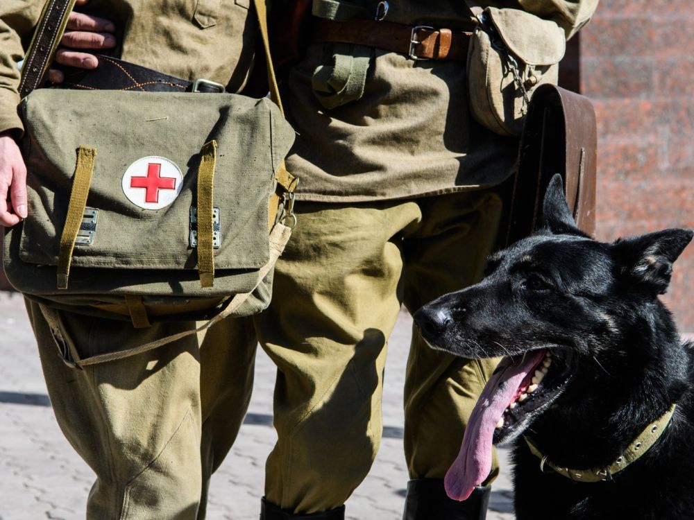 � ����������� ������� ������������ ������ ������� ����������