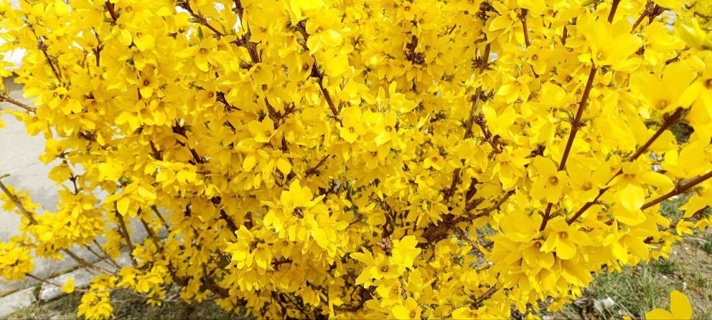 ������ �����: ��������� ����� � �����, �� ���� ������ ������� �����, ������������� �� ������ ������