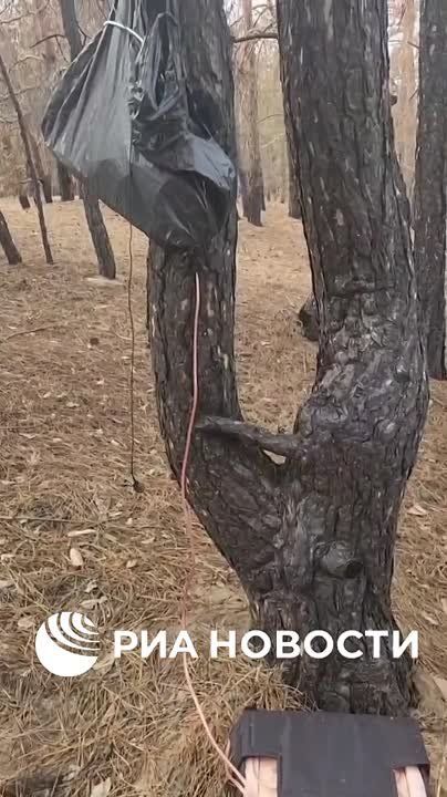 �������������� ���������� ����������� ��������, ������������� ����������� ������������ �� ������ ������, ���������� � ���������� �������, ����������� ���� � ������������ ��� �������