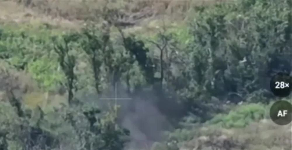 ���������� � ����� ������-�����������