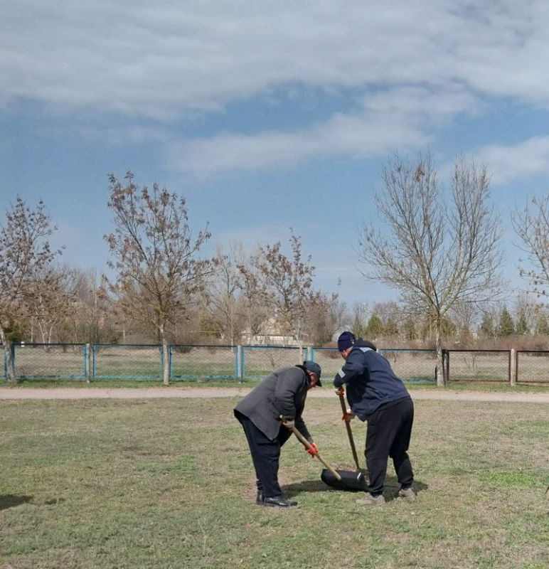 ���������� ����������� ������� ��� ���������� ������ ������������ �� ��������� ������: