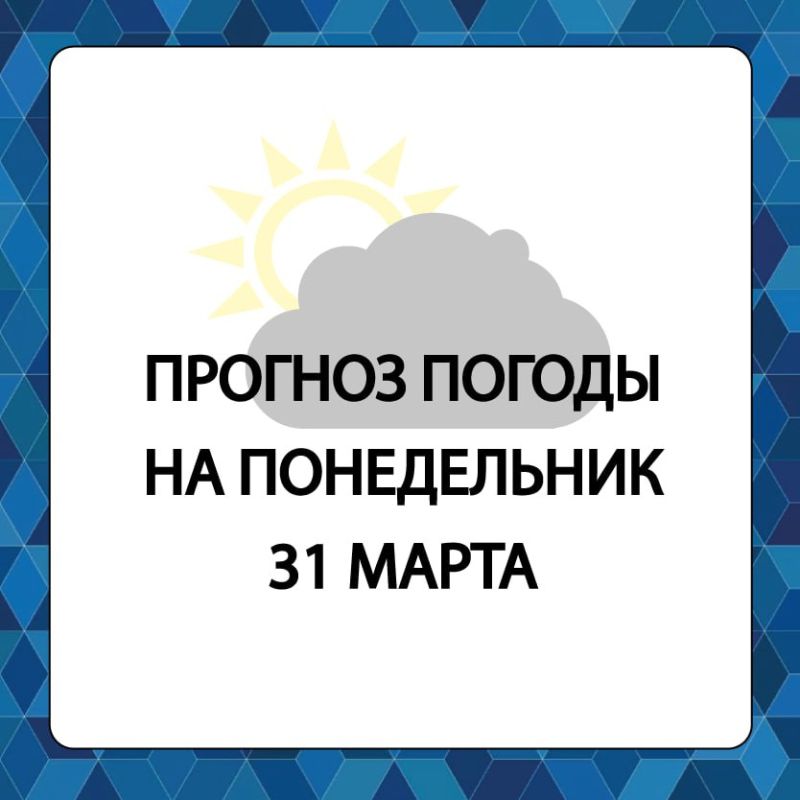 ������� ������ � ����������� ������������� ������ �� �����������, 31 �����