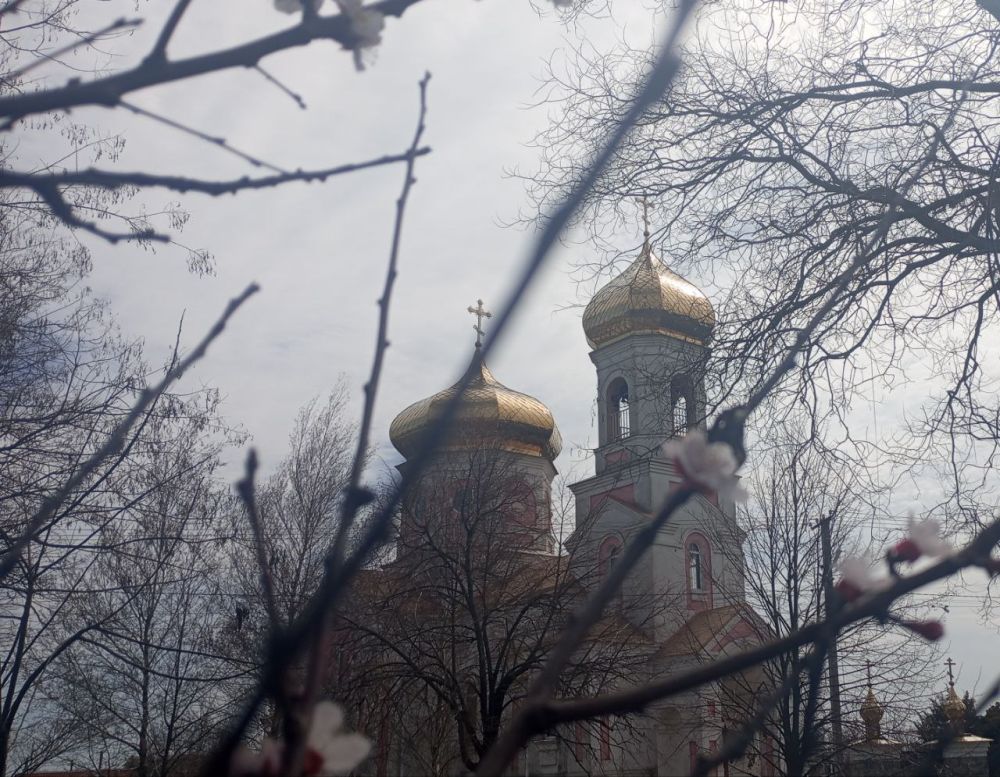 � ������ �����, �����������!