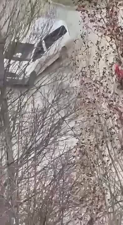 �������� �� ������� ���������� ���� ����� ���� �� ��������� ����� � ����