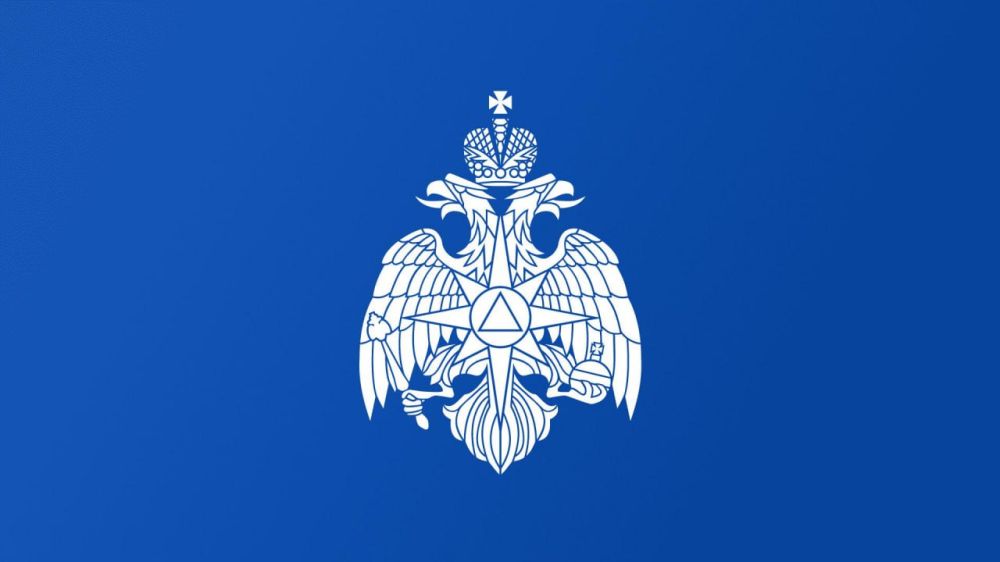 ��� ������ �� �����: ��� ������� ������� ������� ������ ���������