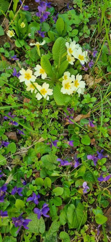 ��������� ���� �������� � ����� � ������������ ������, � ��� ��� ��� ���������� ���������� �������, ������ �� ��� ��������� ��� ��������� � �������� ������������ ����������� �����������