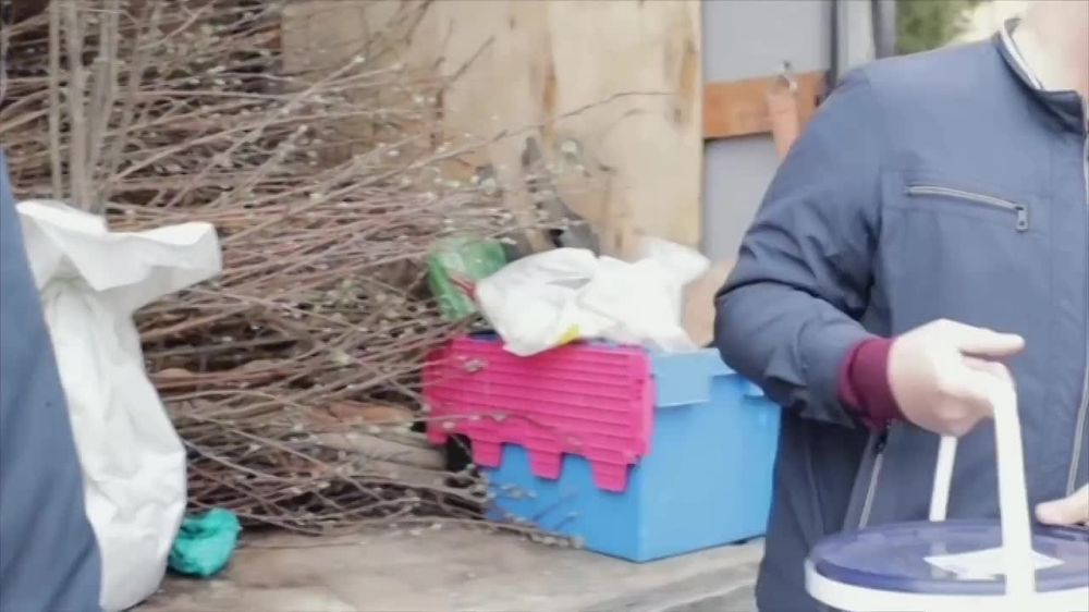 ����� ������ �� ���������� ����� ����������