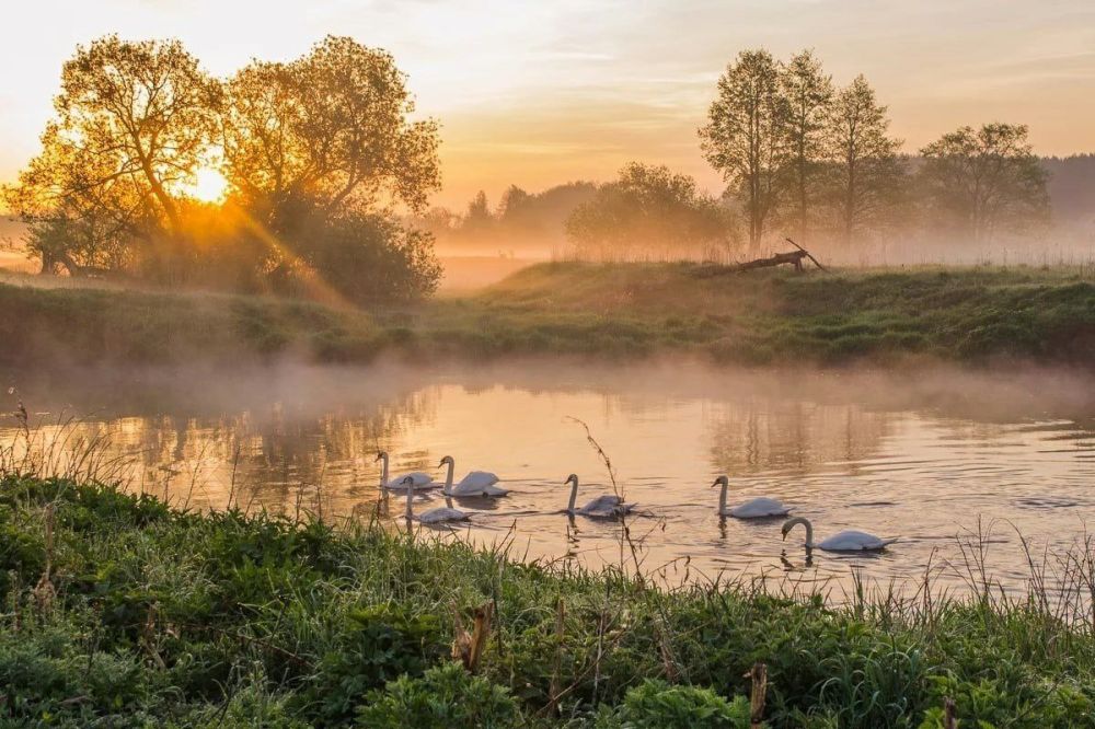 . �������� ����� ���� � ����� ���� ����� , �� � ������ ����� , � ������