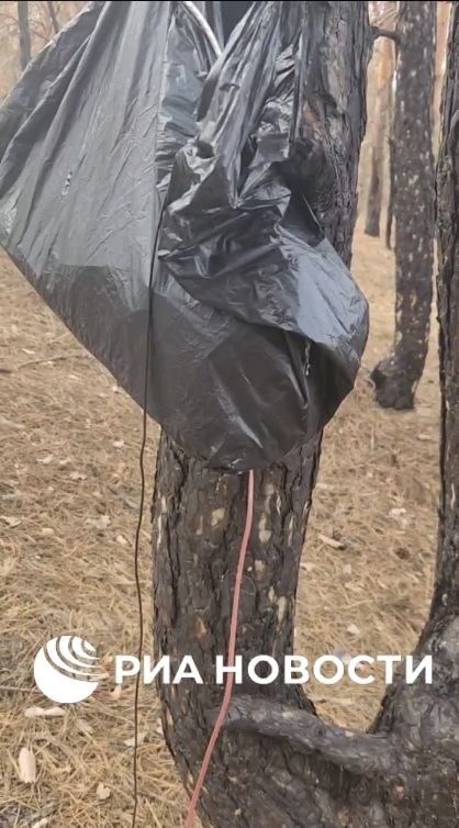 � ���������� ������� ���������� ����� ���������� �������� ���