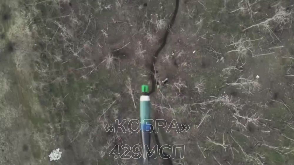 ���� �� �������: ����� ����������� ������ ������ ��� �� �������� �������� ������ ����� �.�. ���������. ��������� �����, ���� �������